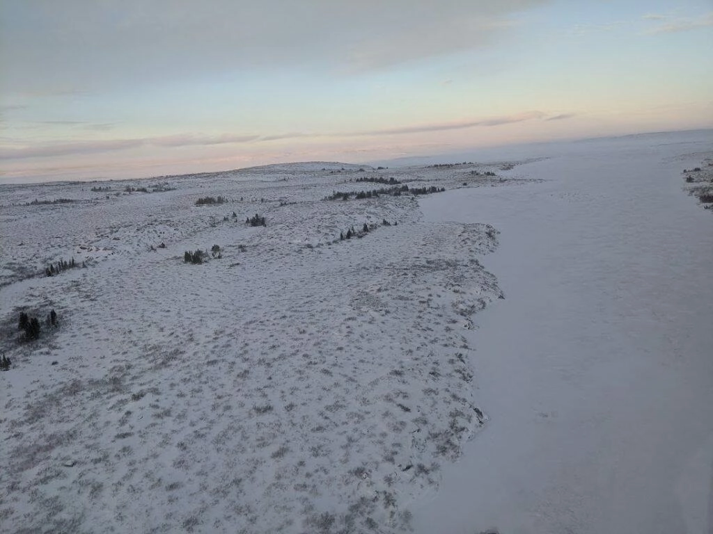 Frozen Landscape